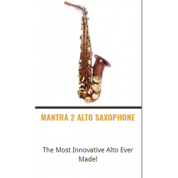 Theo Wanne-Shop-Instruments-ALTO SAXOPHONE-MANTRA 2 ALTO SAXOPHONE